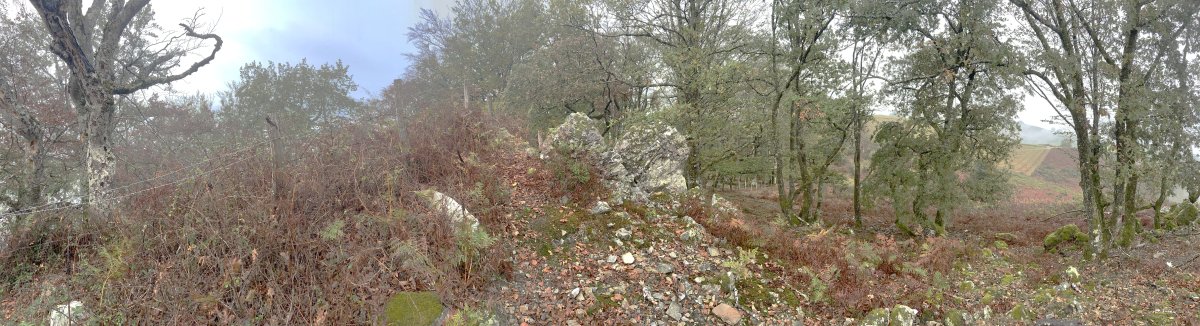 Tontorra