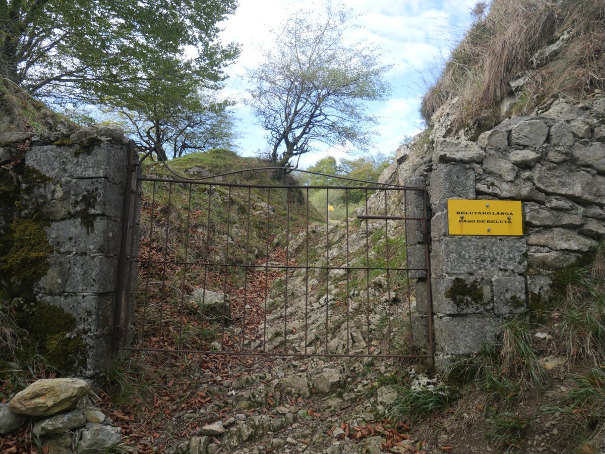 Belutako ataka