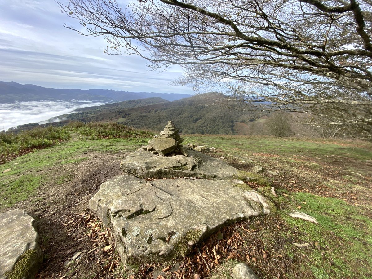 Tontorra
