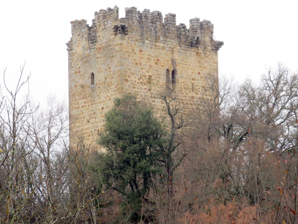 Salazar dorretxea, Nograro-Gaubea