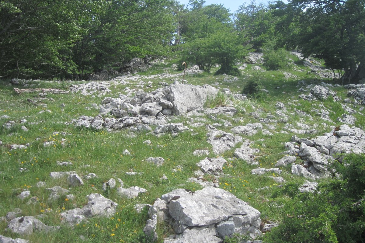 Dólmen Gaztelueta Sur   (05-2017)