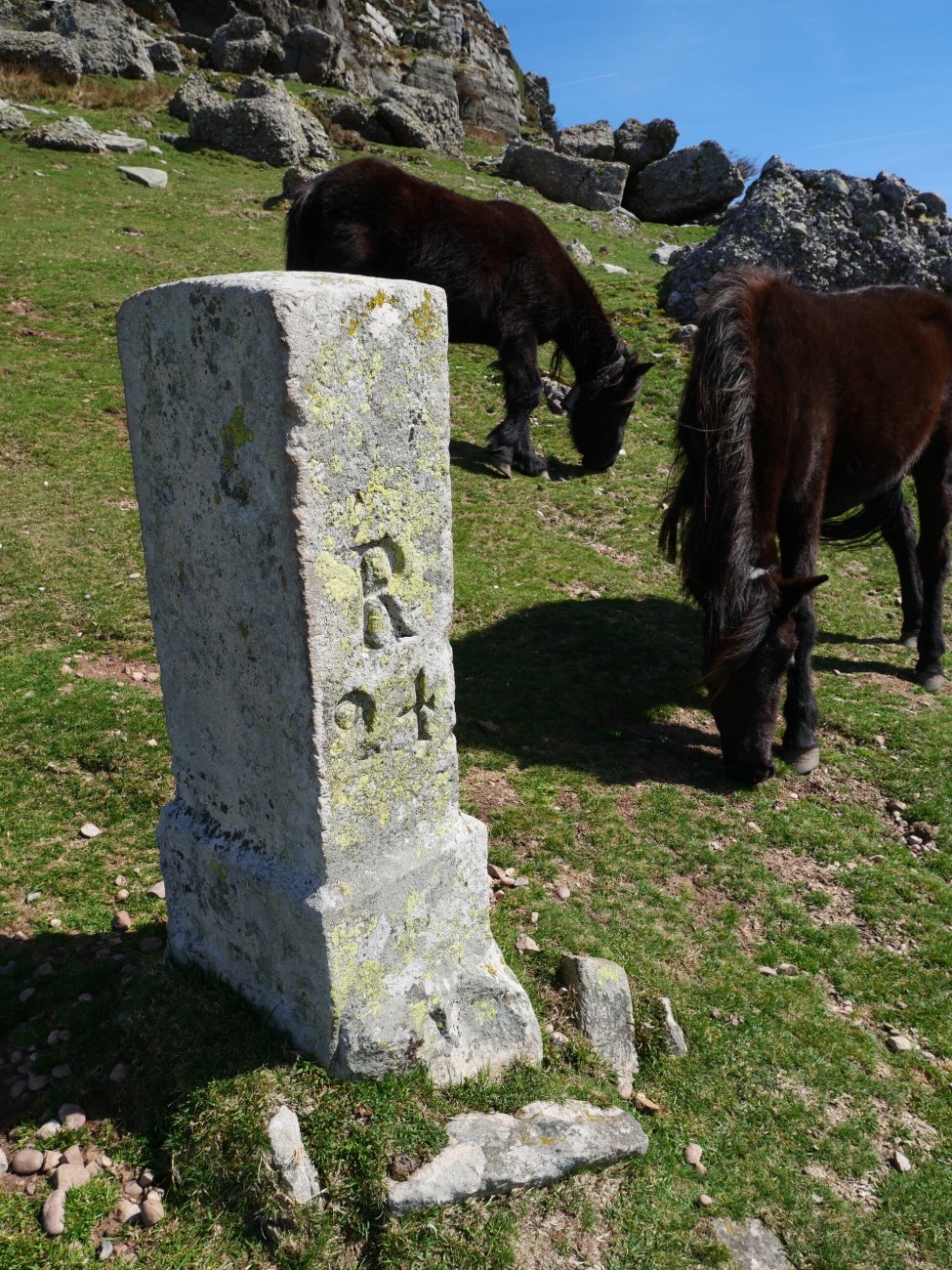 R24 mugarria Larrunen