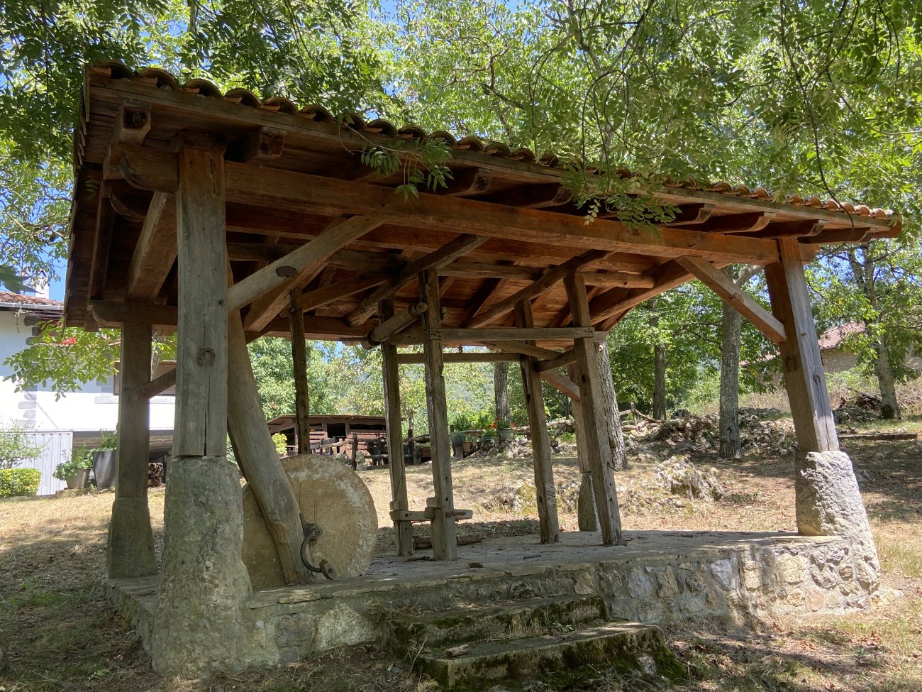 Perratokia. Dima (Artaun)