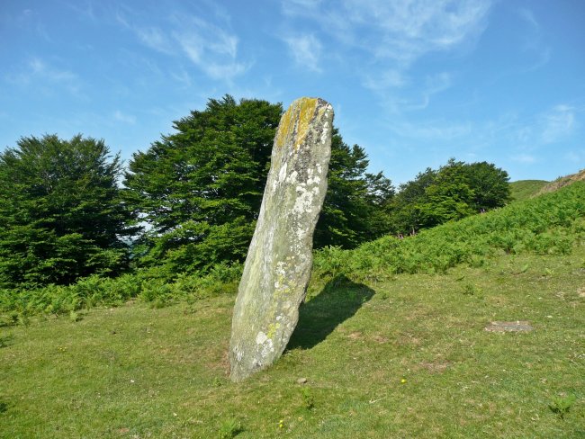 Iruñarri (Elazmuño) Trikuharria