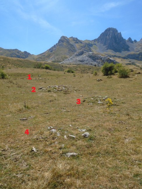 mampodre norte