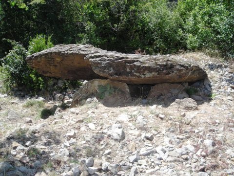 Caseta de las Güixas trikuharria