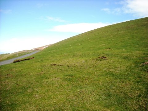 Murkuilako Lepoa harrespila