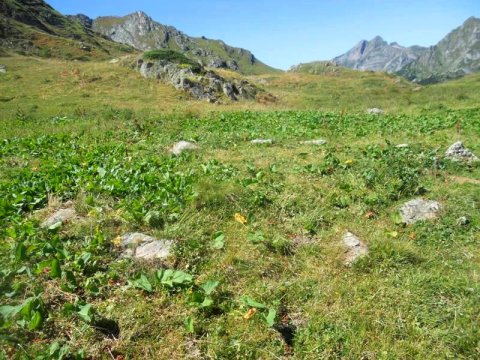 Cabane de Chérue 5