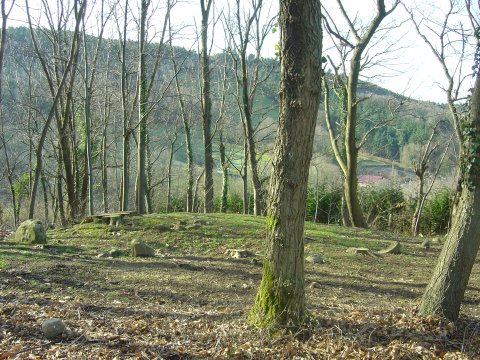 Cromlech Algorrieta   (Febrero 2012