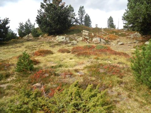 col de gouetsoule 2