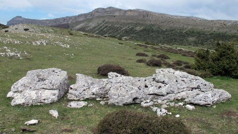 Fuente Fría zutarria, Andia