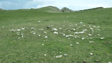 Brinko tumulua, Andia