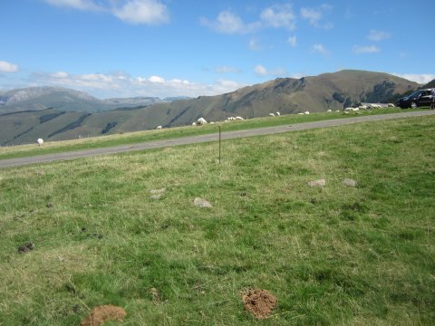 Cromlech Irauko Lepoa  (Agosto  2015)