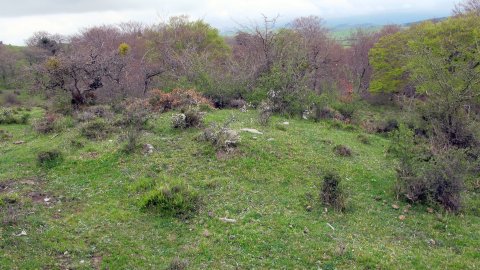 Berrekorta tumulua, Urkabustaiz