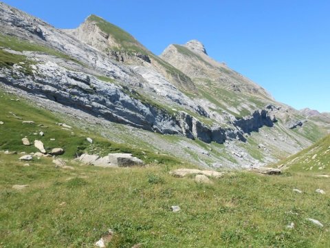 Cantal de Curets trikuharria