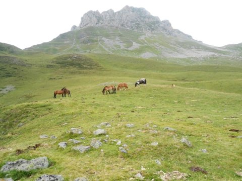 Col d'Iseye harrespila