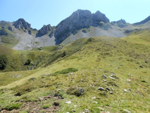 ansabère tumulua